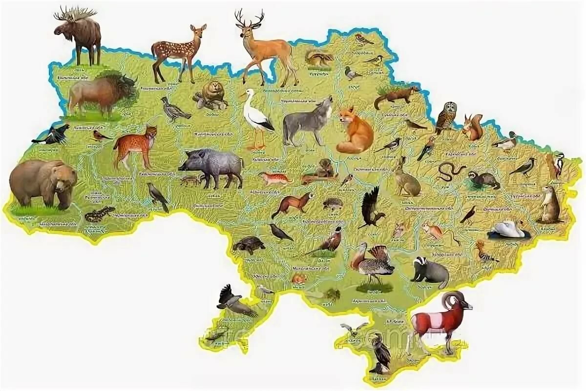 Фауна украины
