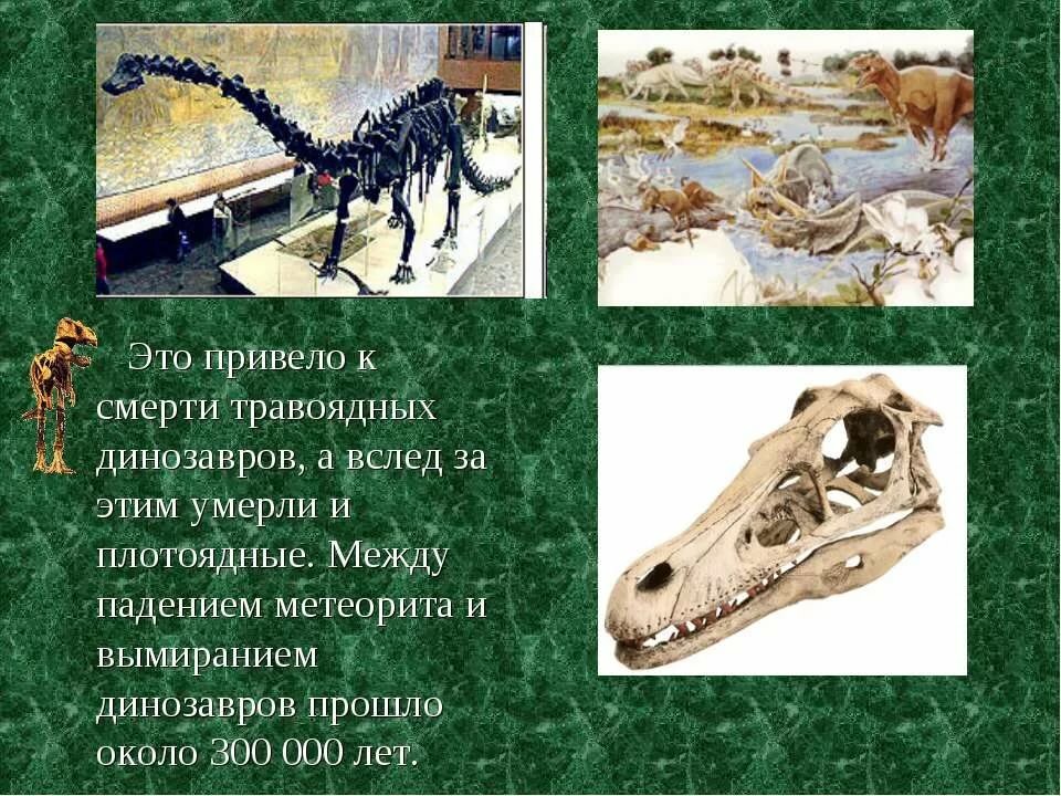 Самые интересные факты о динозаврах с фото и видео
