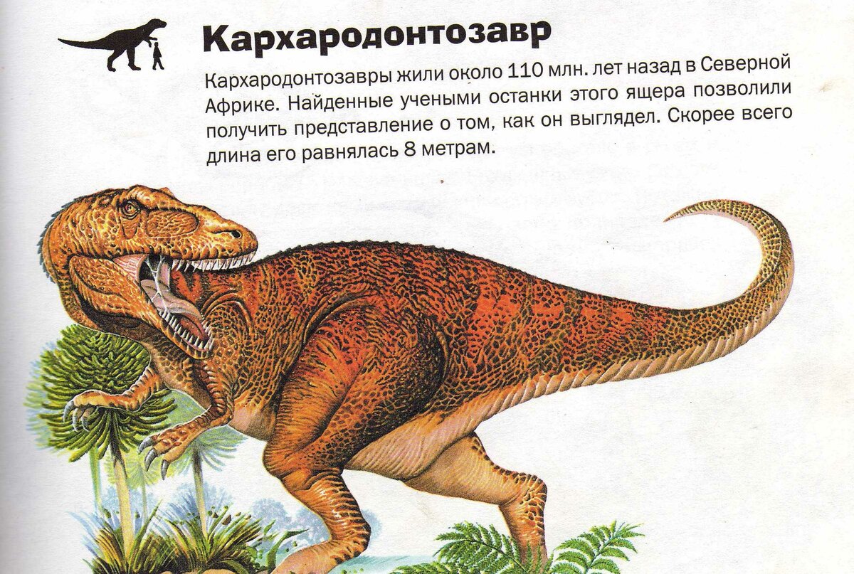 Самые большие динозавры: 11 невероятных ящеров